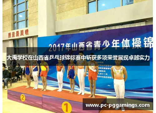 大禹学校在山西省乒乓球锦标赛中斩获多项荣誉展现卓越实力