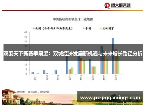 双羽天下新赛季展望：双城经济发展新机遇与未来增长路径分析