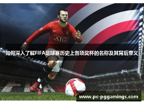 如何深入了解FIFA足球赛历史上各项奖杯的名称及其背后意义