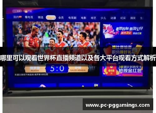 哪里可以观看世界杯直播频道以及各大平台观看方式解析