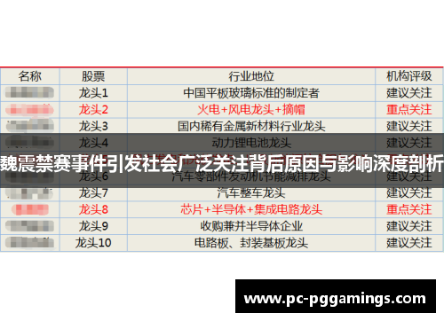 魏震禁赛事件引发社会广泛关注背后原因与影响深度剖析