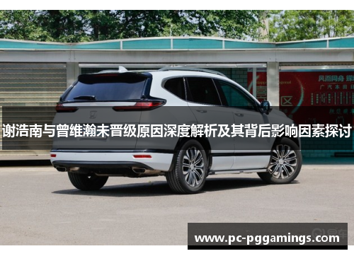 谢浩南与曾维瀚未晋级原因深度解析及其背后影响因素探讨