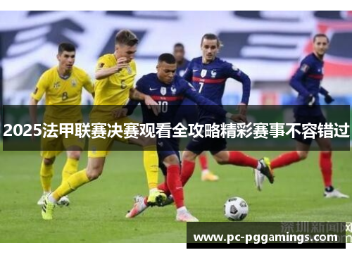 2025法甲联赛决赛观看全攻略精彩赛事不容错过 2025法甲联赛决赛观看全攻略精彩赛事不容错过