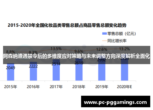 阿森纳遭遇禁令后的多维度应对策略与未来调整方向深度解析全面化 阿森纳遭遇禁令后的多维度应对策略与未来调整方向深度解析全面化