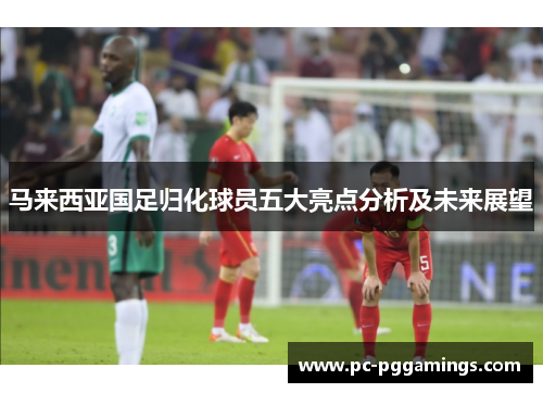 马来西亚国足归化球员五大亮点分析及未来展望