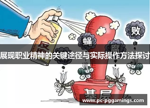 展现职业精神的关键途径与实际操作方法探讨 展现职业精神的关键途径与实际操作方法探讨
