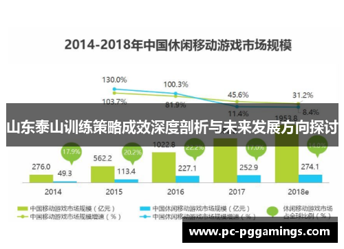 山东泰山训练策略成效深度剖析与未来发展方向探讨