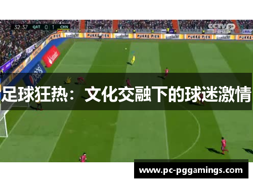 足球狂热：文化交融下的球迷激情